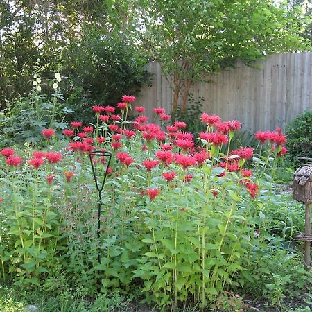 Twin Pines Bed And Breakfast Peterborough Luaran gambar