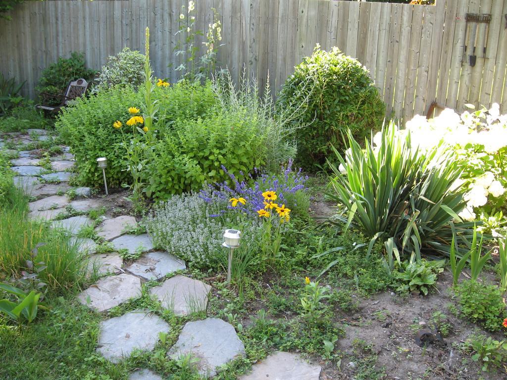 Twin Pines Bed And Breakfast Peterborough Luaran gambar
