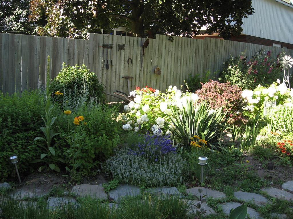 Twin Pines Bed And Breakfast Peterborough Luaran gambar